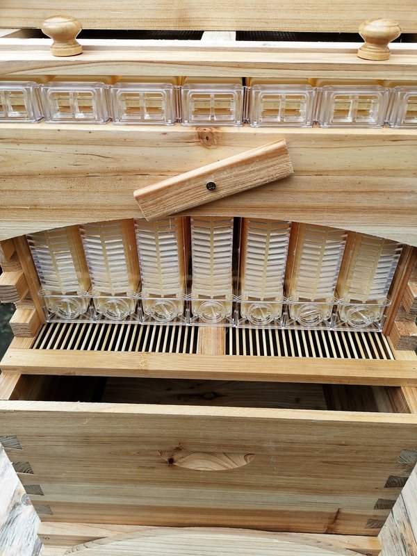 Automatisch Bienenbeute Bienenstock Flow Beehive Hive Automatischer Fluss Bienenkasten Holzbeute