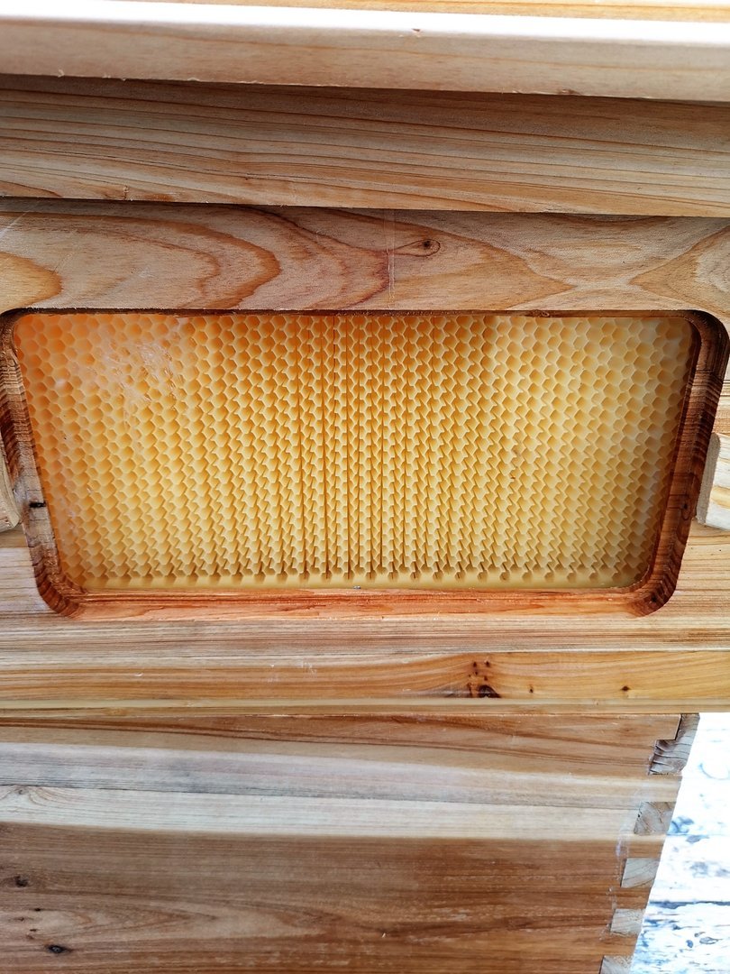 7 Waben Automatische Honigproduktion Bienenstock Bienenbeute Beehive UPDATED 